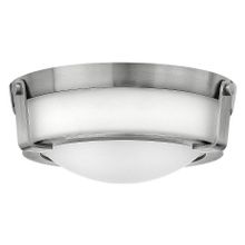 Hinkley Накладной светильник Hinkley  HK HATHAWAY F SN ID - 454174