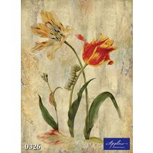 Фреска Applico 0326