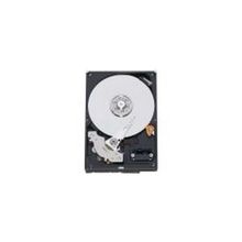 Жесткий диск 500Gb WD AV WD5000AVKX SATA 6Gb s, IntelliPower, 16Mb (для систем видеозаписи)