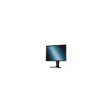 21.3" NEC 2190UXp-BK