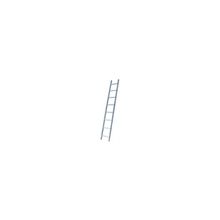 Лестница односекционная алюминиевая, 9 ступеней, 251 см