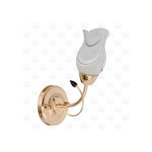 Бра MW-Light Флора 256026801