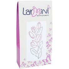 Larmini Тюльпаны белые