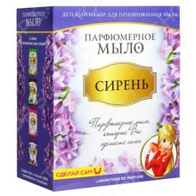 Master IQ2 «Сирень»