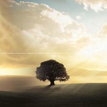 Панно Ceramica Classic Castle P2-1D194 (из 2 плиток) 400х400