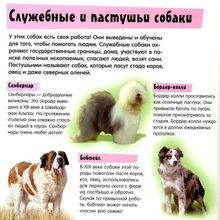 Лабиринт Прикольный подарок Гав-шоу