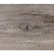 Дуб Вирджиния