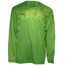 Свитер Puma Вратаря Graphik Gk Shirt 70039904