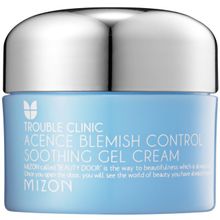 Mizon Acence Blemish Control Soothing Gel Cream 50 мл