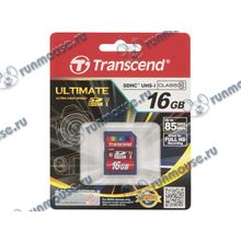 Карта памяти 16ГБ Transcend "TS16GSDHC10U1" SecureDigital HC UHS-I Class10 [109474]