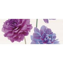 Ibero Enjoy Violet Sia Decor B 20x50 см