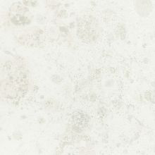 Marburg Platinum 31025 31025