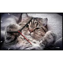 Часы настенные Алсера Британец арт. 1031