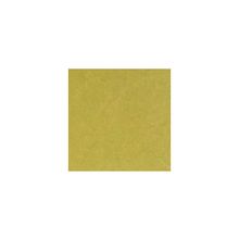 Мармолиум клик 300х300 Lime