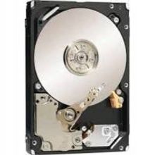 HGST HGST Ultrastar C15K600 (0B30358)