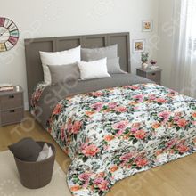 Сирень «Оттерис»