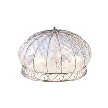 ARTE Lamp потолочная A2102PL-4SS матовое серебро