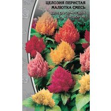 Целозия перистая Малютка смесь  0,05 гр