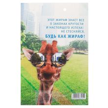 Набор Ты круче всех подарочный (обложка на паспорт + ручка)