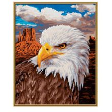 Schipper Белоголовый орлан 24х30