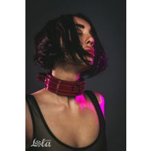 Бордовый ошейник Eccentric (224446)