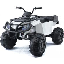 Детский квадроцикл Grizzly Next White 4WD с пультом управления 2.4G - BDM0909