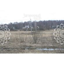 Дмитровское, 85 км от МКАД, Дмитровский г.о. Ступино, Размер участка: 12 сот.
