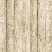 Andrea Rossi Razzoli 54176 3 54176 3