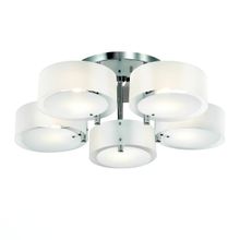 Люстра потолочная ST LUCE FORESTA SL483.502.05