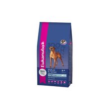 Eukanuba Eukanuba для зрелых и пожилых собак крупных пород - 3 кг