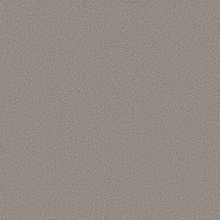 Tarkett Acczent Mineral AS 1000 03 3 м*20 м 2 мм