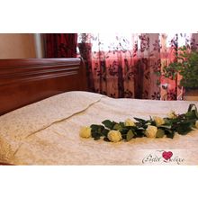 Kauffort Kauffort Классические шторы Arina