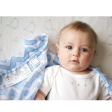 SwaddleDesigns Classic Chevron 2 шт. голубые