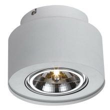 Потолочный светильник Arte Lamp A5643PL-1WH CLIFF