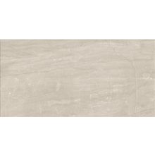 Alaplana San Marino Taupe Mate 50x100 см