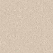 Обои виниловые Rasch Cosmopolitan 576047