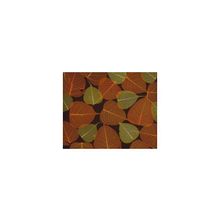 Натуральные обои Листья SN-6 (0,91 Х 9,14 м )