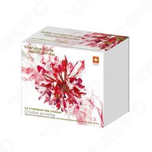 Intellectico «Магические кристаллы» малый