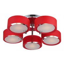 Светильник потолочный ST Luce Foresta SL483.602.05