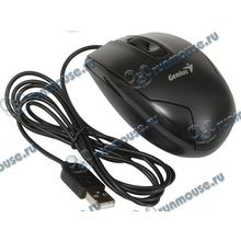 Оптическая мышь Genius "DX-100X", 2кн.+скр., черный (USB) (ret) [139907]