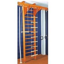 Детский спортивный комплекс ДСК Карусель 2Д.02.01