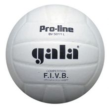 Мяч волейбольный Gala Pro-Line Competition BV5011L