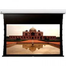 Экран Classic Solution Premier Leo-R (16:9) 255x177 (E 235x132 9 MW-XR W)