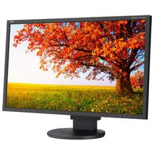 Монитор nec ea224wmi l221vd, 21.5" (1920x1080), ips, vga (d-sub), dvi, hdmi, dp