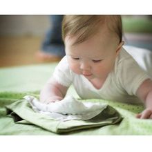 SwaddleDesigns Baby Lovie Lime w BR Mod C