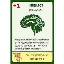 Доп. набор ПРАВИЛЬНЫЕ ИГРЫ 13-01-02 Эволюция. Время летать