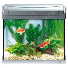 Tetra AquaArt Led Goldfish