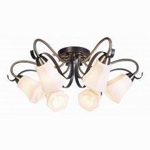 SilverLight Merely 225.59.6