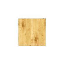 Береза Сибирская № 1461, ламинат