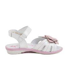 Котофей белые с цветком